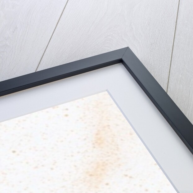 Tooth {Fay-erie Dust}, 2014 by Bella Larsson