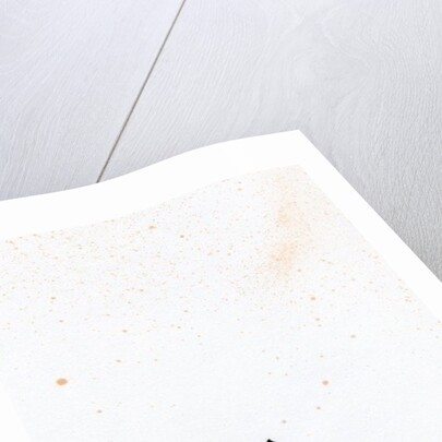 Tooth {Fay-erie Dust}, 2014 by Bella Larsson