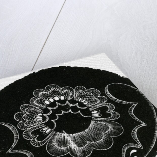 Scandinavian Folk Embroidery, 2013 by Bella Larsson