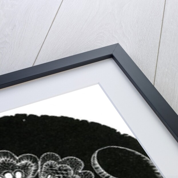 Scandinavian Folk Embroidery, 2013 by Bella Larsson