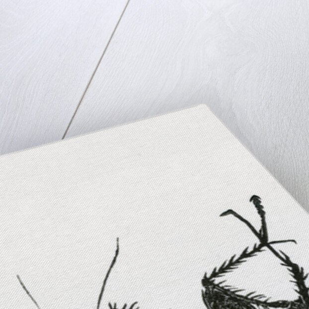 Dead Cockroach, 2014, by Bella Larsson