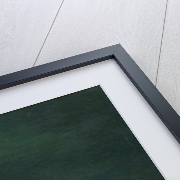 Moth Wing, 2014 by Bella Larsson