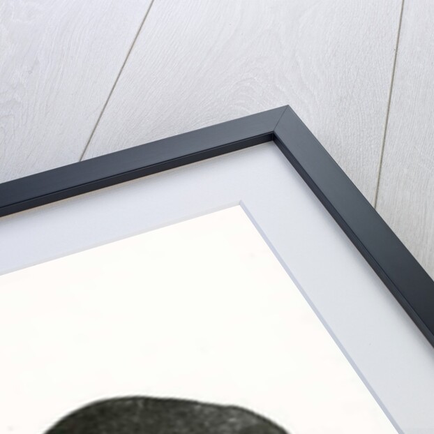 Night Butterfly, 2016 by Bella Larsson