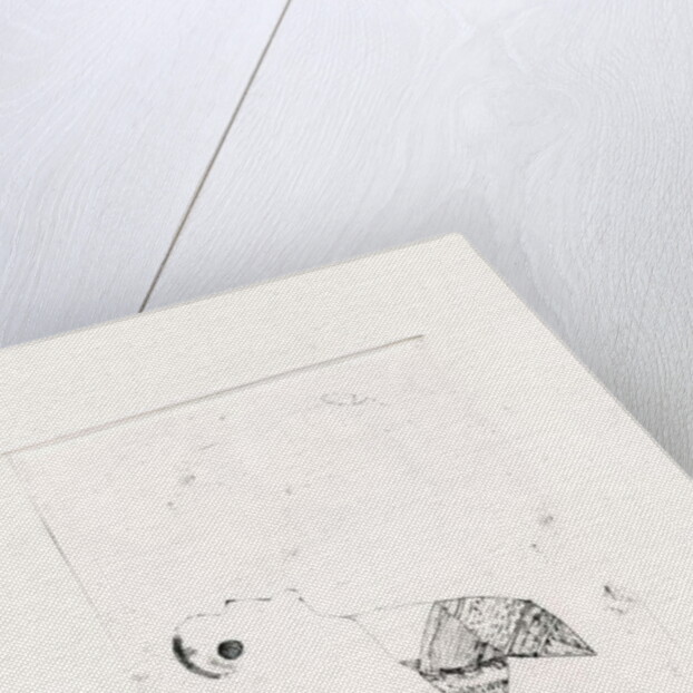 Meandering Thoughts 2, 2017 by Bella Larsson