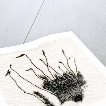 Budding Moss, 2014 by Bella Larsson