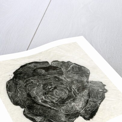 Pine Rose, 2014 by Bella Larsson