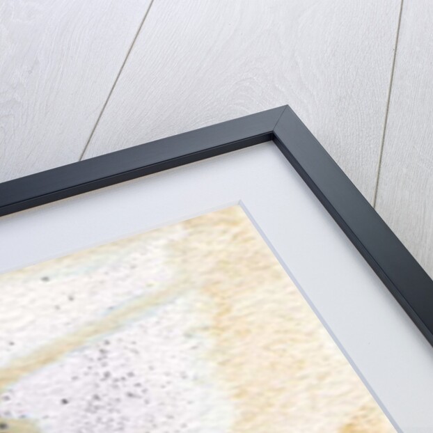 Peek-a-boo, 2000, by Bella Larsson