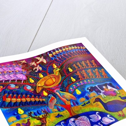 The Twelve days of Christmas, 2010 by Jane Tattersfield