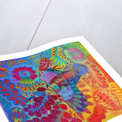 Flying duck, 2013 by Jane Tattersfield