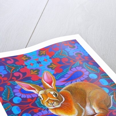 Rabbit, 2014 by Jane Tattersfield