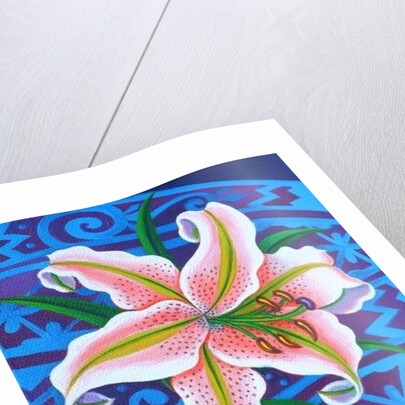 Lily, 2014 by Jane Tattersfield