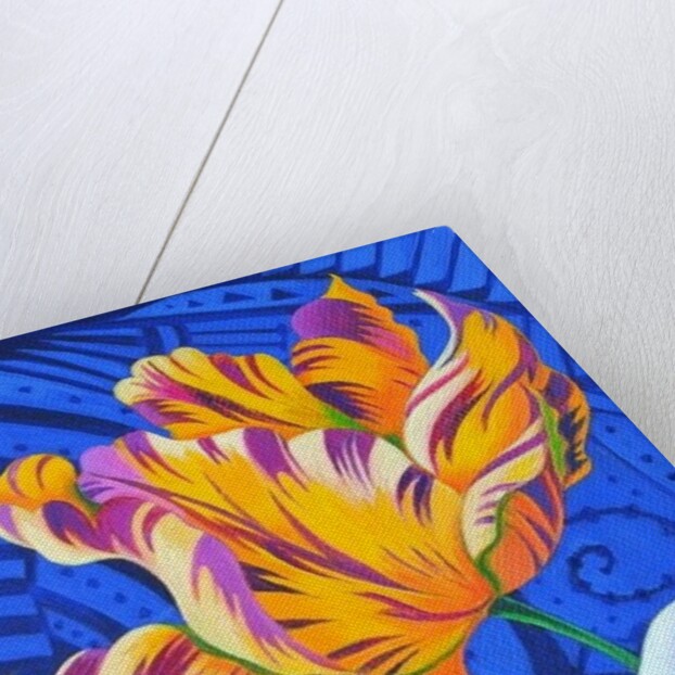 Tulip, 2014 by Jane Tattersfield