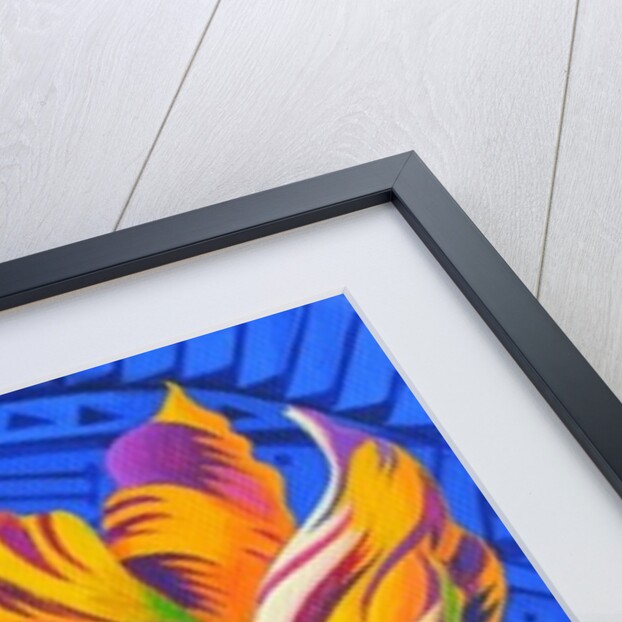 Tulip, 2014 by Jane Tattersfield