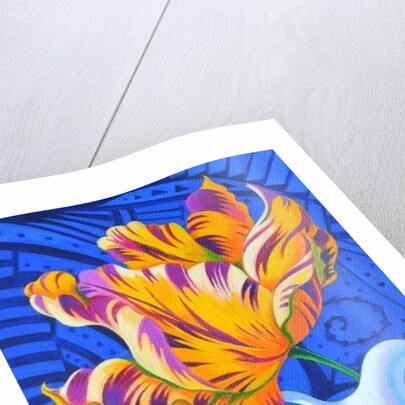 Tulip, 2014 by Jane Tattersfield