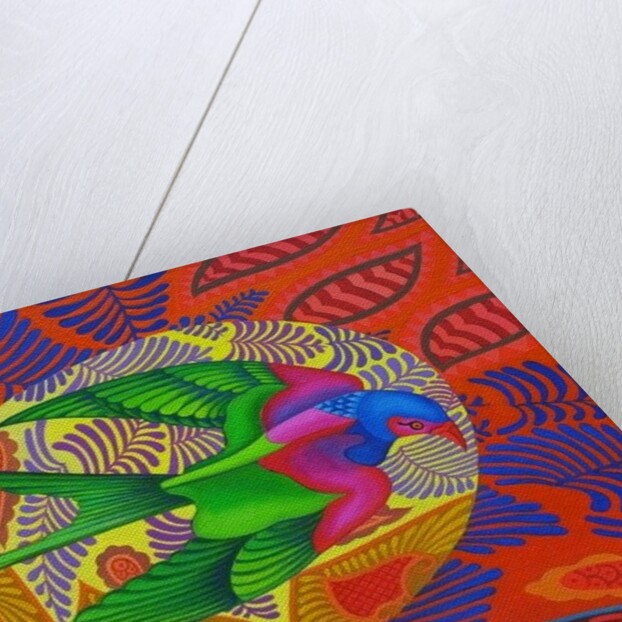 Swallow-tailed kite, 2012 by Jane Tattersfield