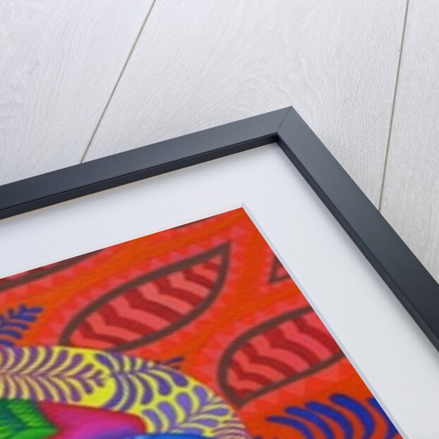 Swallow-tailed kite, 2012 by Jane Tattersfield