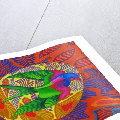 Swallow-tailed kite, 2012 by Jane Tattersfield