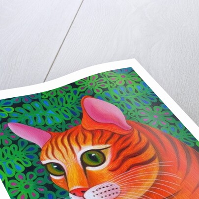Tiger Cat, 2012 by Jane Tattersfield
