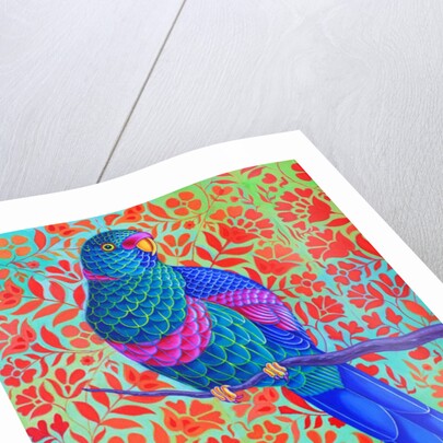 Blue Parrot, 2015 by Jane Tattersfield