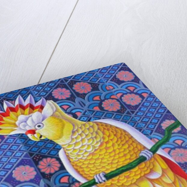 Cockatoo, 2016 by Jane Tattersfield