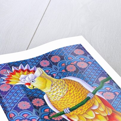 Cockatoo, 2016 by Jane Tattersfield