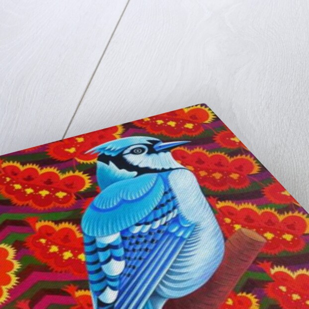 Blue Jay, 2016 by Jane Tattersfield