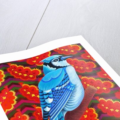 Blue Jay, 2016 by Jane Tattersfield