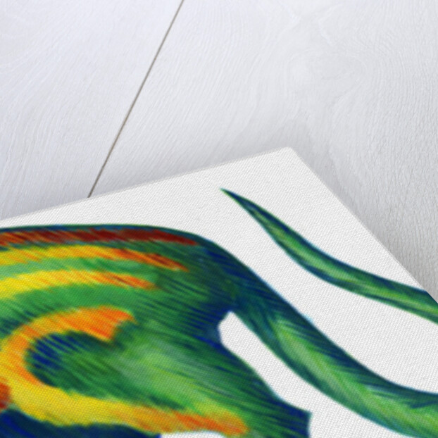 Ferret, 1996 by Jane Tattersfield