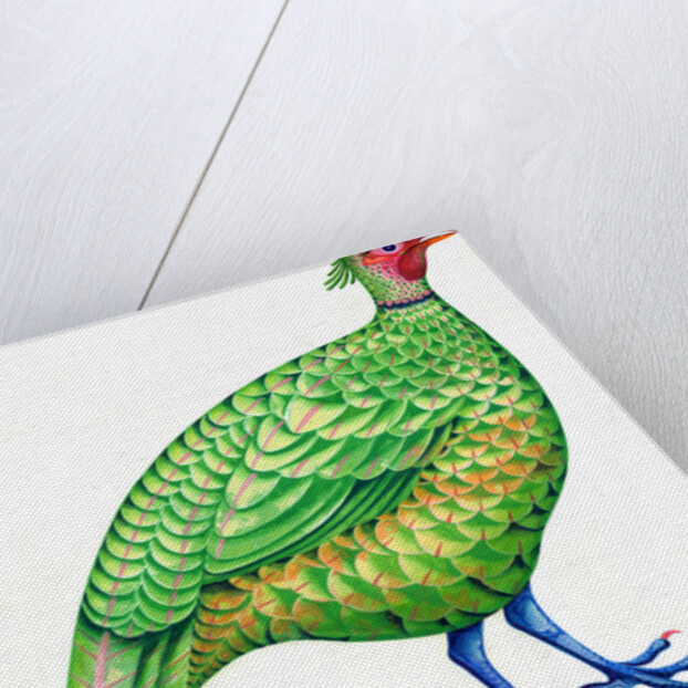 Pheasant, 1996 by Jane Tattersfield