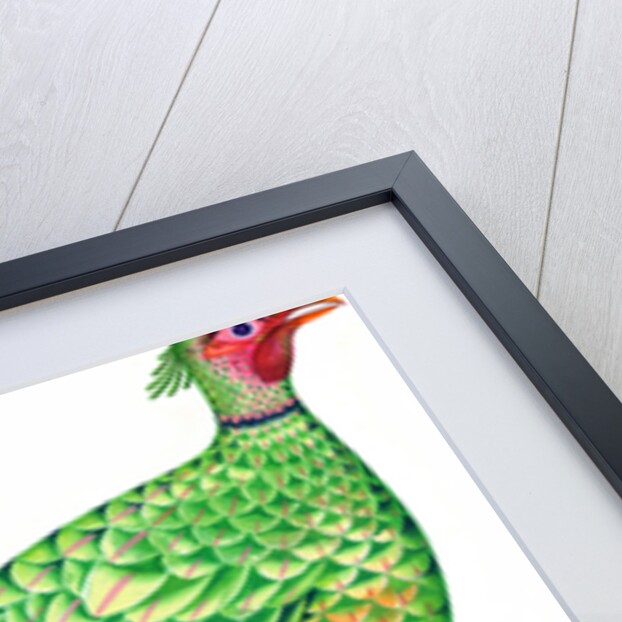 Pheasant, 1996 by Jane Tattersfield