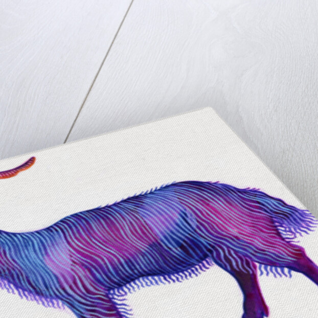 Goat Capricorn, 1996 by Jane Tattersfield