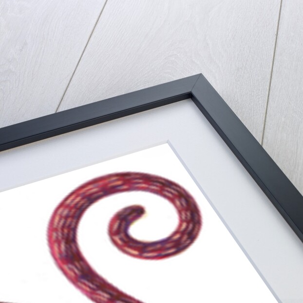 Monkey, 1996 by Jane Tattersfield