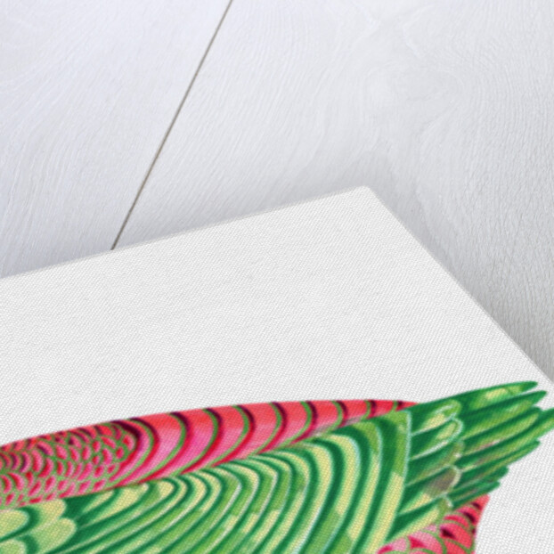 Duck, 1996 by Jane Tattersfield