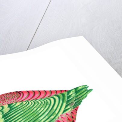 Duck, 1996 by Jane Tattersfield