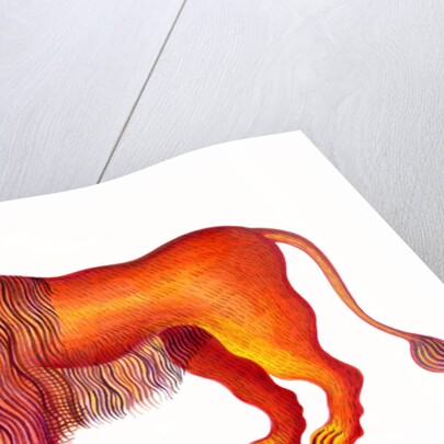 Leo the Lion, 1996 by Jane Tattersfield