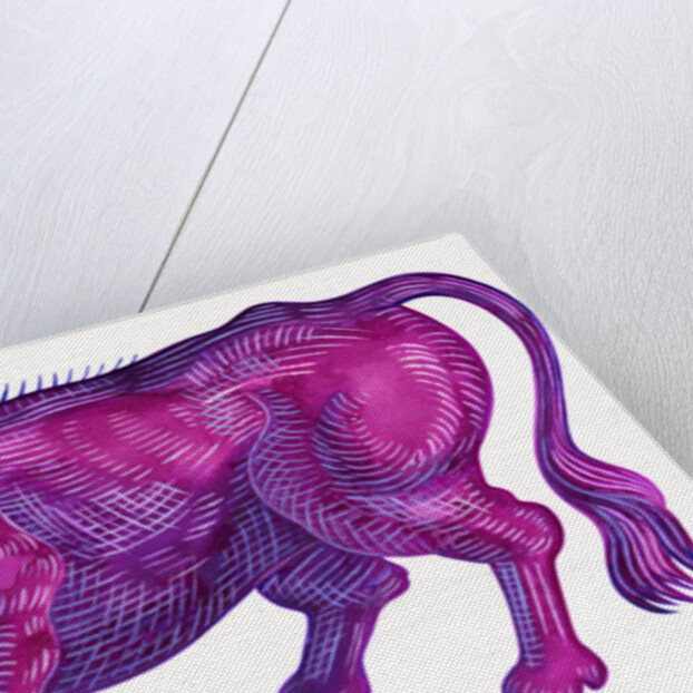 Raging Bull Taurus, 1996 by Jane Tattersfield