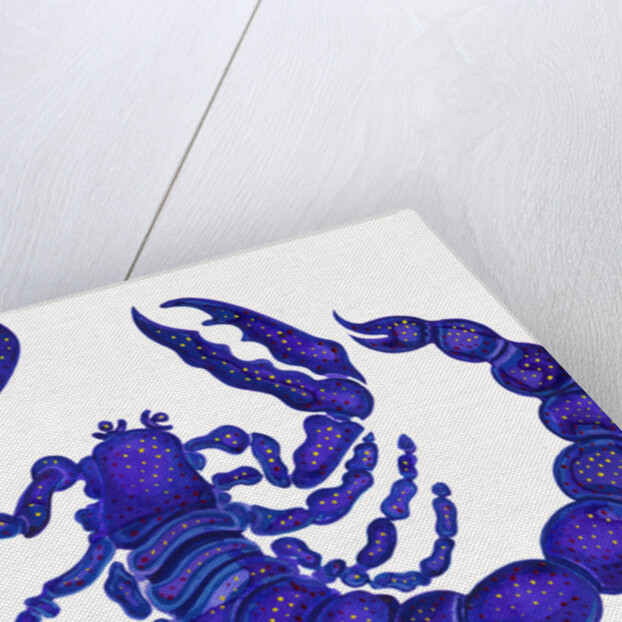 Scorpio, 1996 by Jane Tattersfield
