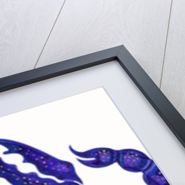 Scorpio, 1996 by Jane Tattersfield