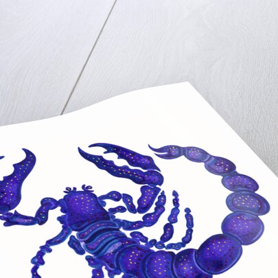 Scorpio, 1996 by Jane Tattersfield