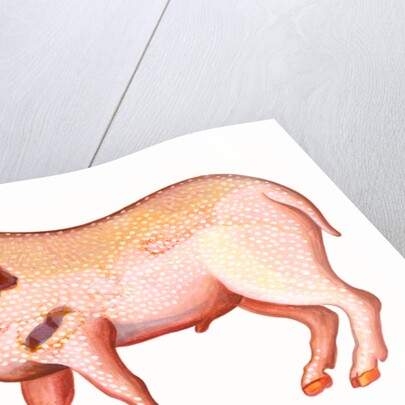 Aries the Ram, 1996 by Jane Tattersfield