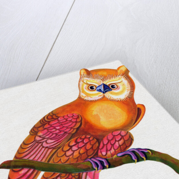 Owl, 1997 by Jane Tattersfield