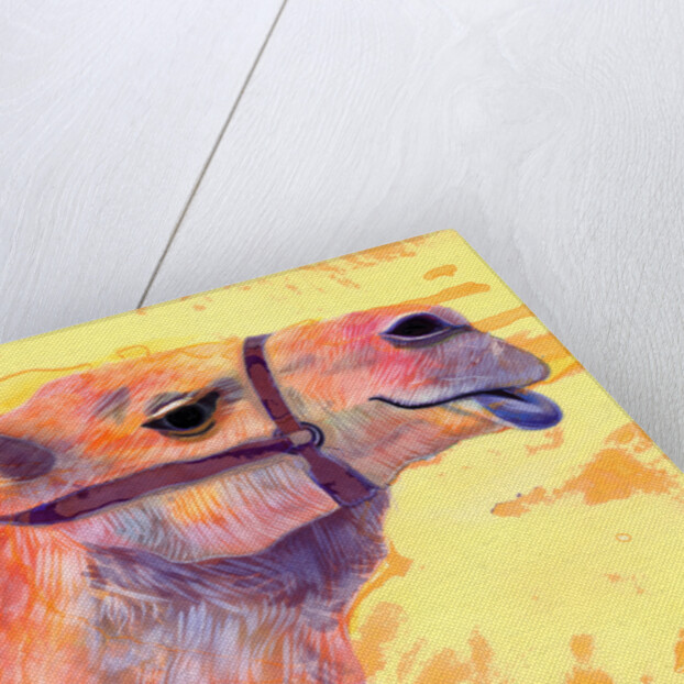 Camel, 1994 by Jane Tattersfield