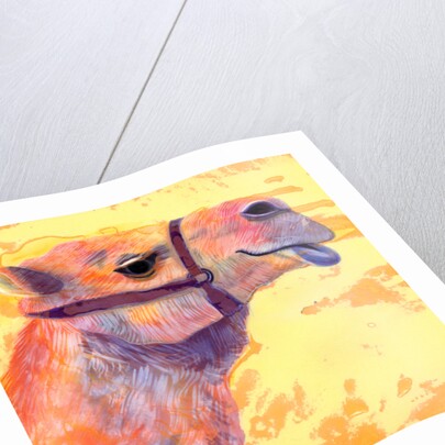 Camel, 1994 by Jane Tattersfield