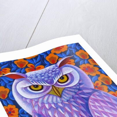 Snowy Owl, 2013 by Jane Tattersfield