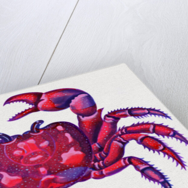 Cancer the Crab, 1996 by Jane Tattersfield