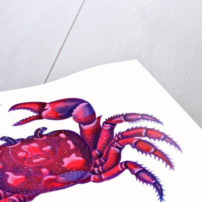 Cancer the Crab, 1996 by Jane Tattersfield