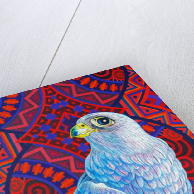 Grey falcon, 2017 by Jane Tattersfield