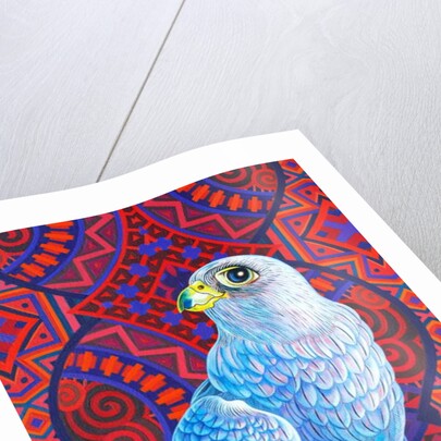 Grey falcon, 2017 by Jane Tattersfield