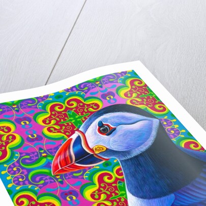 Puffin, 2018 by Jane Tattersfield