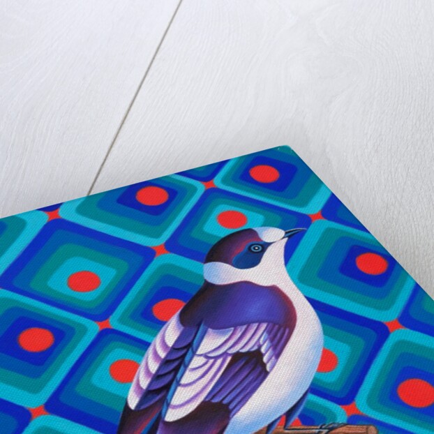 Semicollared flycather, 2023 by Jane Tattersfield